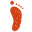 Baby Foot